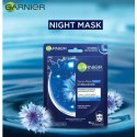 GARNIER Night Serum Sheet Mask with Deep Sea Water, 28g
