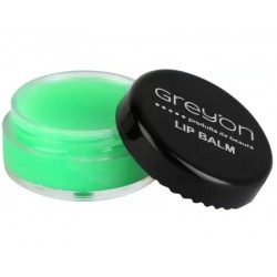 Greyon Green Apple Lip Balm Green Apple  (Pack of: 1, 10 g)