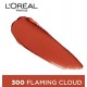 L'Oreal Paris Color Riche Moist Matte Lipstick, 300 Flaming Cloud, 3.7g