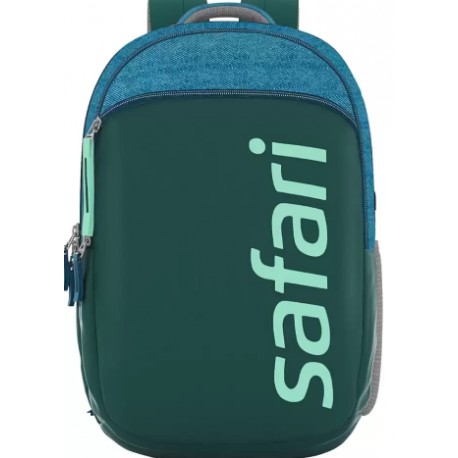 Medium 29 L Backpack SPREEUSB 19 CASUAL BACKPACK BLUE  (Green, lBag)