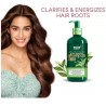 WOW Anti-Dandruff Shampoo, Green Tea & Tea Tree - 300ml