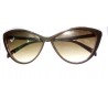 Wayfarer Sunglasses