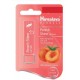 Himalaya Shine Lip Care Peach  (Pack of: 1, 4.5 g)