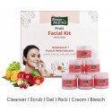 Roop Mantra Fruit Facial Kit, 250g