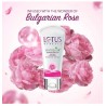 Lotus Pink Glow Face Wash, 100g