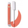 MyGlamm Lipstick - Vibez