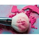 Makeup Cleaner Brushes